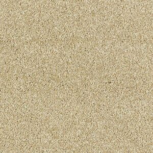 Cornsilk