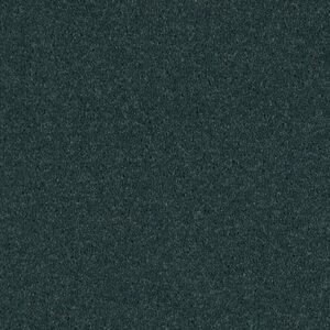 Blue Juniper 73482