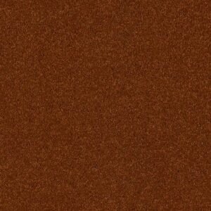 Burnt Sienna 25782