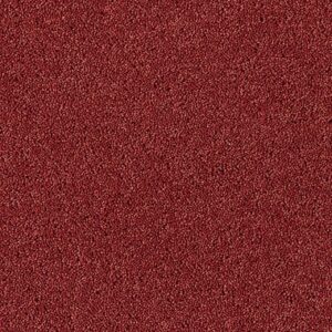 Cajun Spice 12782