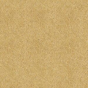 Desert Sand 20682