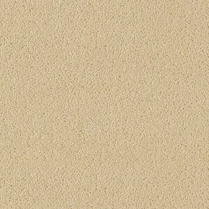 Indian Ivory 26282