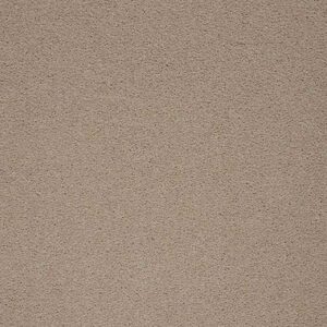 Parchment 59282