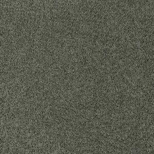 Scottish Pine 49482