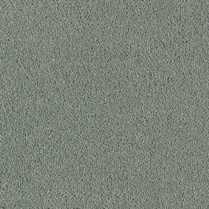 Silver Sage 57482