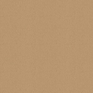 Straw W2023