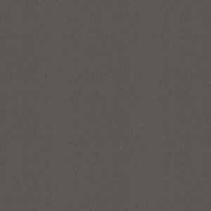 Elephant W2622