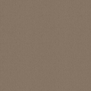 Canvas W9209